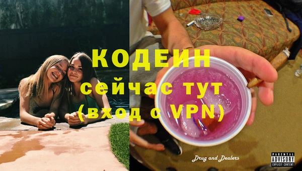 трава Карпинск