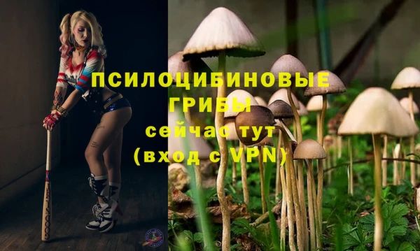 jwh Аркадак