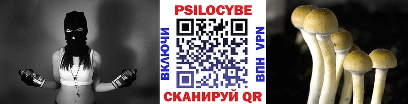 Псилоцибиновые грибы Magic Shrooms  купить наркотики сайты  Южно-Сухокумск 